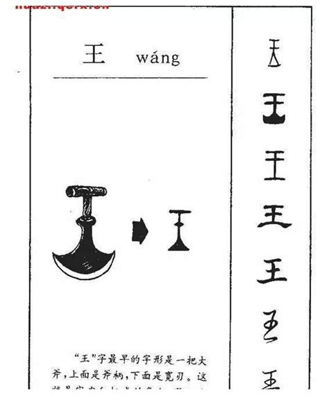 王的部首|王字旁的字